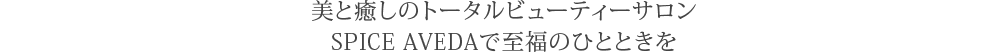 美と癒しのトータルビューティーサロンSPICE AVEDAで至福のひとときを