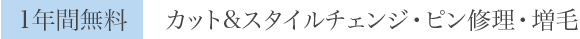 1年間無料：カット&amli;スタイルチェンジ・ピン修理・増毛