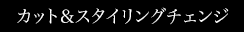 カット&スタイリングチェンジ