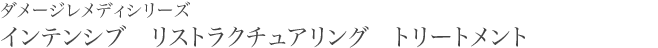 ダメージレメディーシリーズ　インテンシブ リストラクチュアリング トリートメント