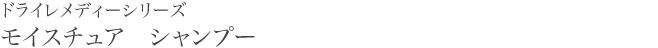 ドライレメディーシリーズ モイスチュア　シャンプー