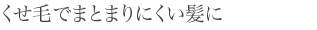 くせ毛でまとまりにくい髪に